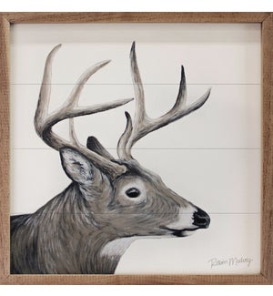Whitetail Deer By Robin Sue Studio